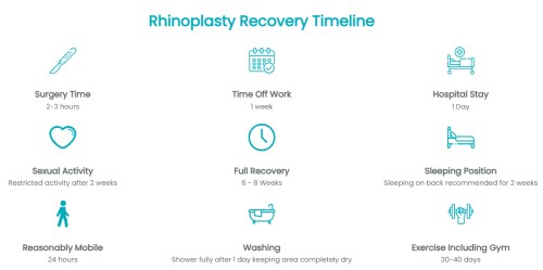 recovery timeline rhino