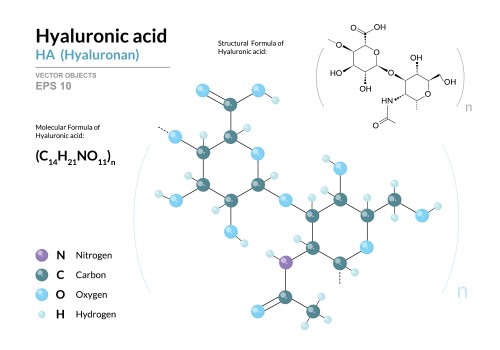 Hyaluronic Acid (HA) 